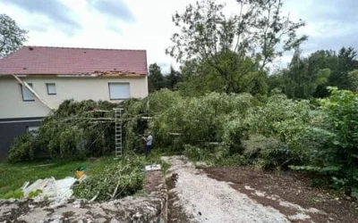 renovztion toiture - pro toiture (40)