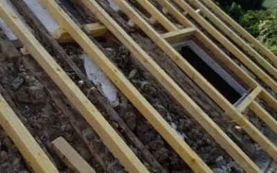 renovztion toiture - pro toiture (59)